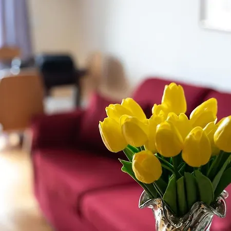 Vatican Charm Retreat アパート ローマ